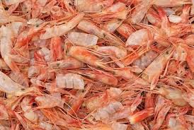 Shrimp Head Shell 50% protein Meal